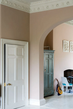 Cargar imagen en el visor de la galería, Dead Salmon No.28