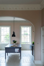 Cargar imagen en el visor de la galería, Dead Salmon No.28